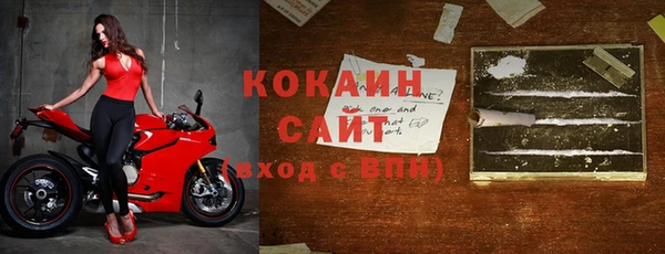 стафф Алзамай